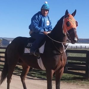 Meet your Posher, Paco